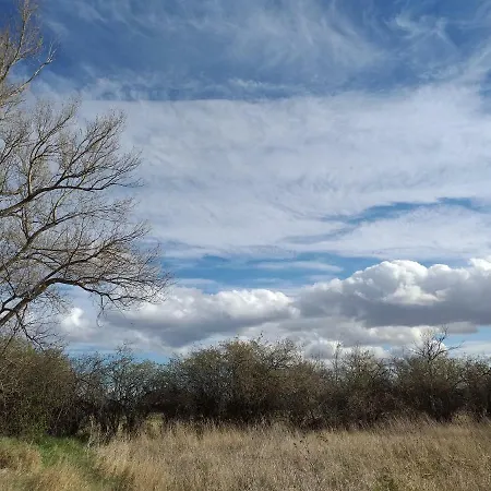 Molino Del Buho * Torre la Carcel