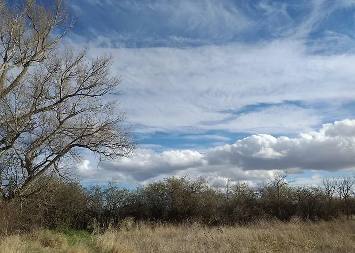 Molino Del Buho * Torre la Cárcel